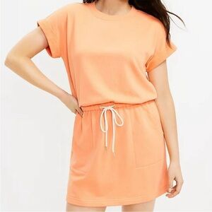LOFT Lou & Grey Cozy Cotton Terry Short Sleeve Pocket Mini Dress Medium